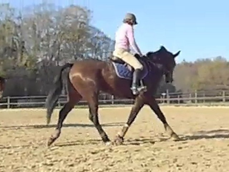 Séance du 19 11 11
