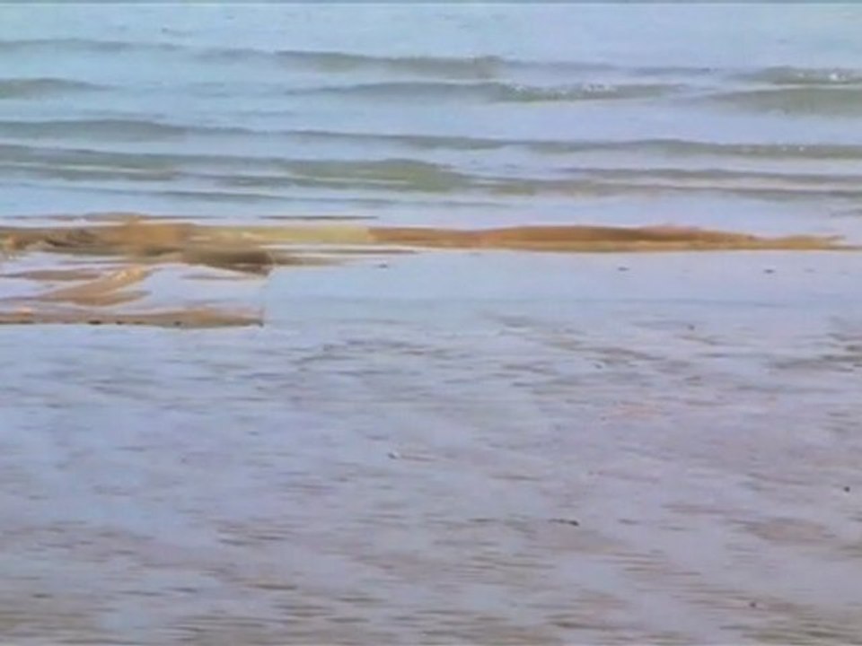juteAnimation_mpeg4
