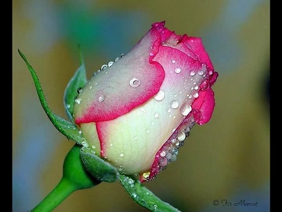 Poetische Meditation mit Melissa und Reza mit persische Ney