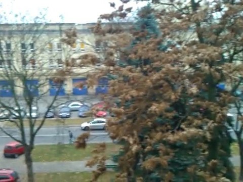 Widok z okna - moja okolica