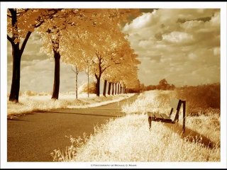 Bilal Turan - Adı yok sevdamın