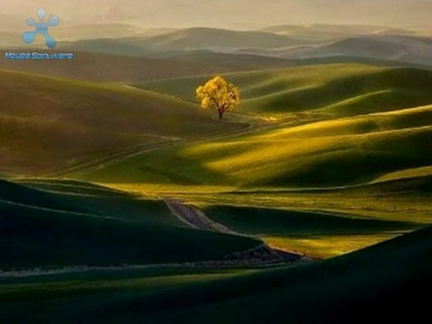 Gurbette Ömrüm Geçecek - Sibel PAMUK