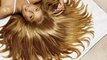 Hair Salon Hair Color Specialist Highlights, Hair Cut & Color Style Affordable Hair Color San Antonio Tx