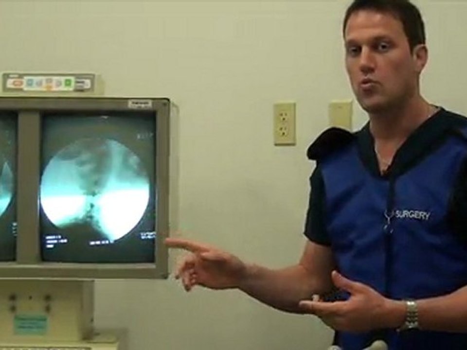 Dallas Chiropractor - Chiropractic in Dallas, Tx