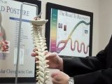 Bloomington IL Chiropractor Treats Neck Pain