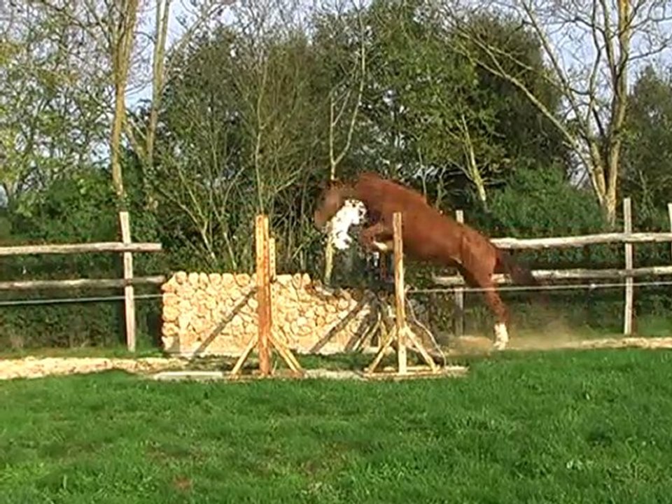 Winner d'oreal 2 ans