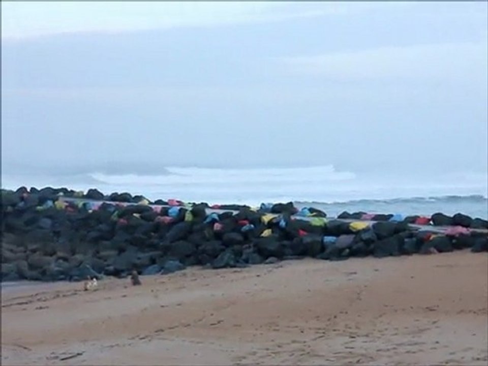 surf report du matin 23-11-11