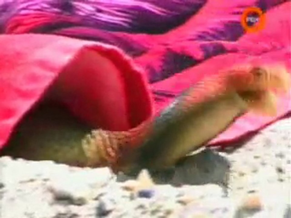 Kamera Sakalari v