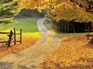 YILDIRRIM GÜRSES-SONBAHAR RÜZGARI