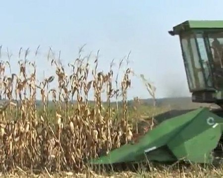 Kinezi kupuju američki kukuruz... emisija Svet Poljoprivrede na agromedia.rs