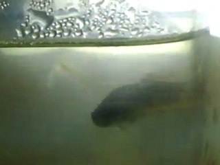CLIP0001 (2)