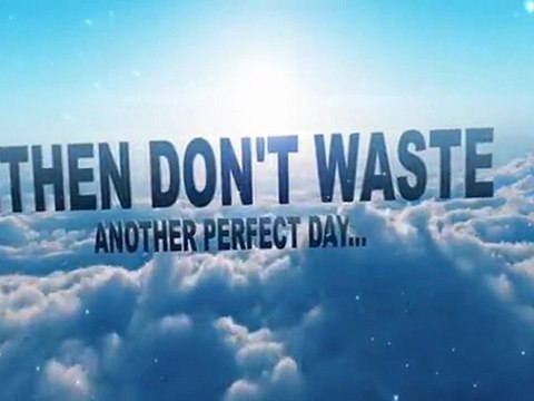 Visalus Body By Vi 90 Day Challenge