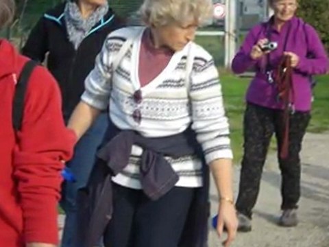 Balade sur le Bassin D'arcachon le 19 Novembre 2011