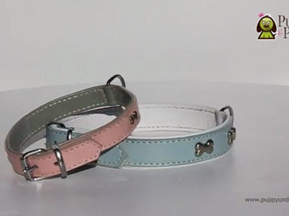 Hundehalsband bone mit knochen verziert