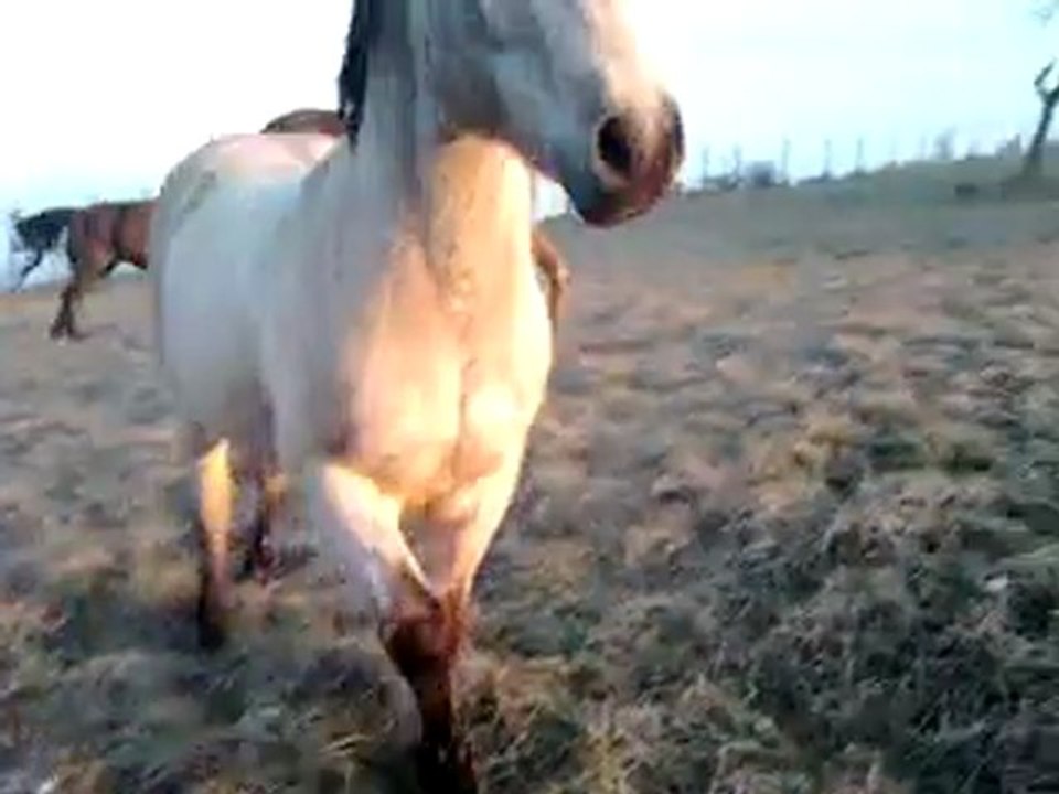 Vidéo0010