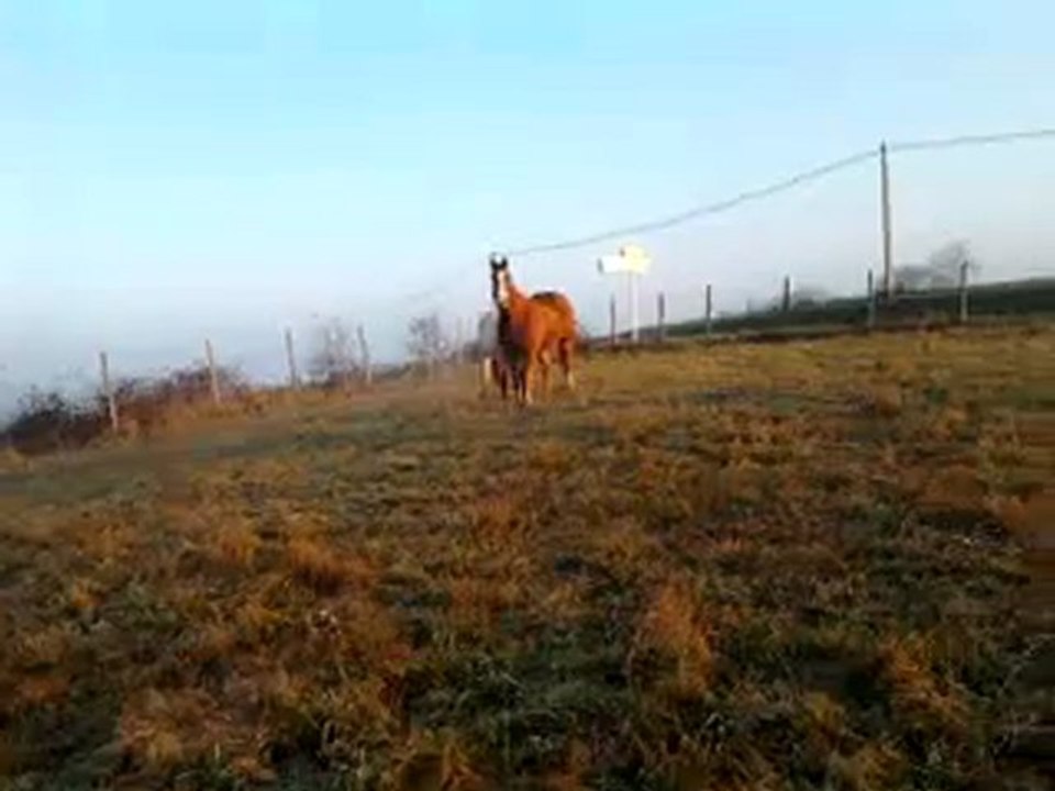 Vidéo0014