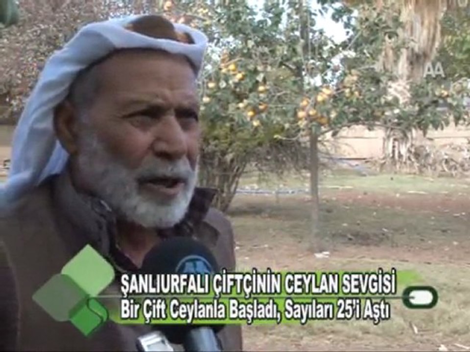 ŞANLIURFALI ÇİFTÇİNİN CEYLAN SEVGİSİ 23.11.2011