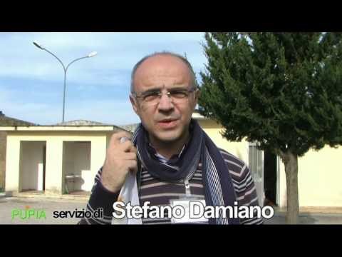 Casapesenna (CE) - Festa dell'albero - Int. Leonardo Piccolo