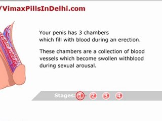 VimaxPillsInDelhi - How Vimax Pills Enlarge Your Penis