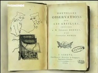 les relations entre les abeilles et les hommes 1