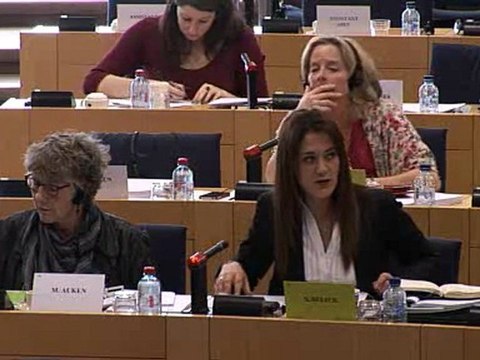 Sandrine Bélier - Commission des Pétitions - Atteinte à une zone Natura 2000 sur la commune de Batz-sur-Mer