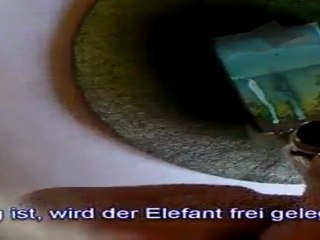 Elefant Airbrush-Arbeit von BMü