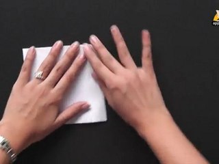 Let's make a CD Cover - Origami in Sindhi