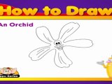 Learn to Draw a Flower in Hindi - Orchid