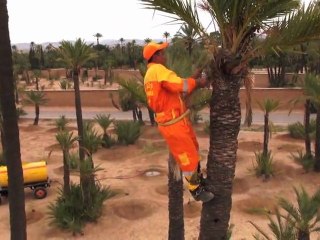 La Palmeraie de Marrackech-Drone multirotor Smartflyer de Visiofly