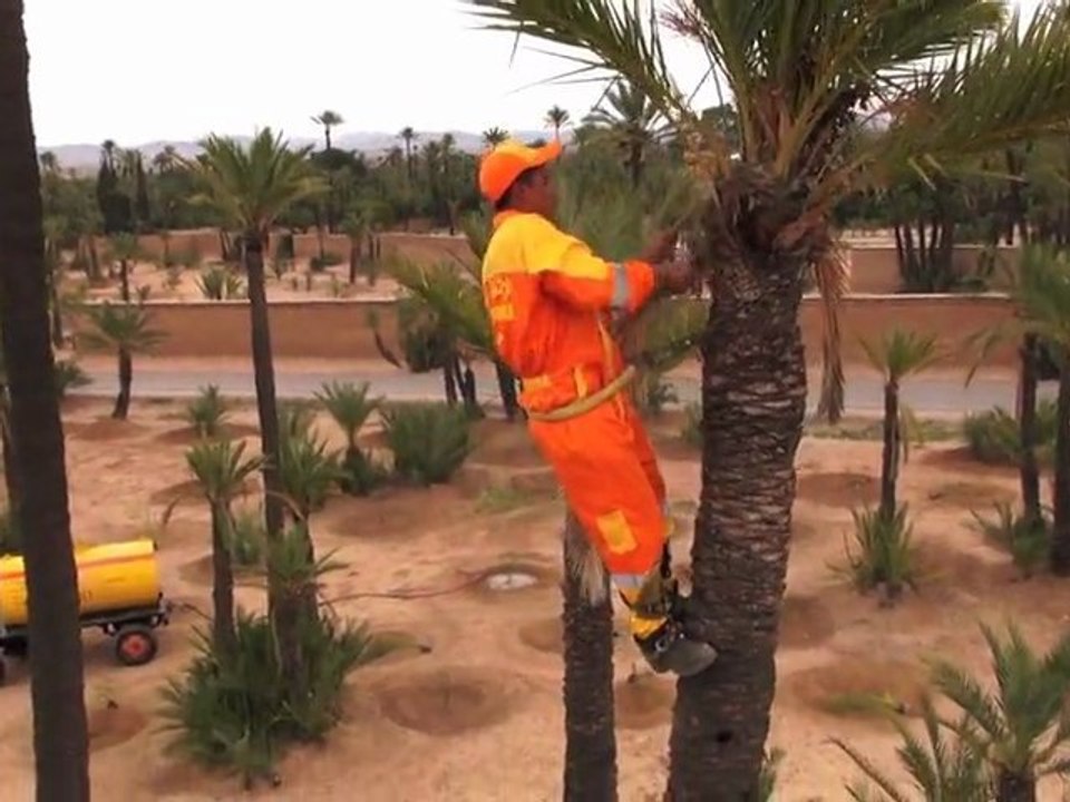 La Palmeraie de Marrackech-Drone multirotor Smartflyer de Visiofly