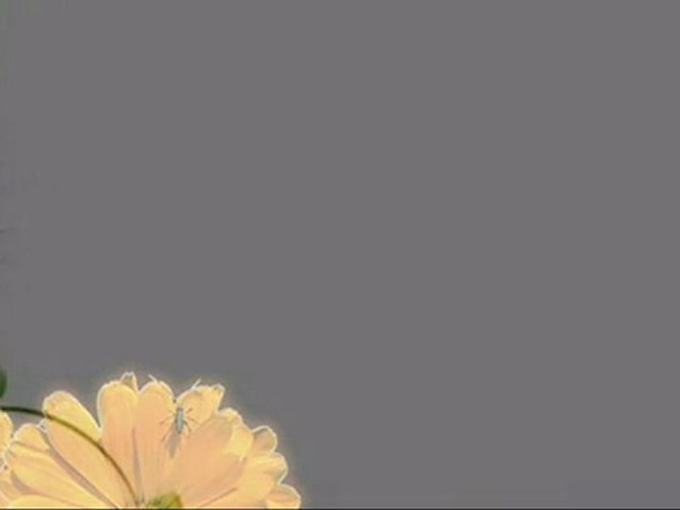 Hemşirem-Şevket OKYAY