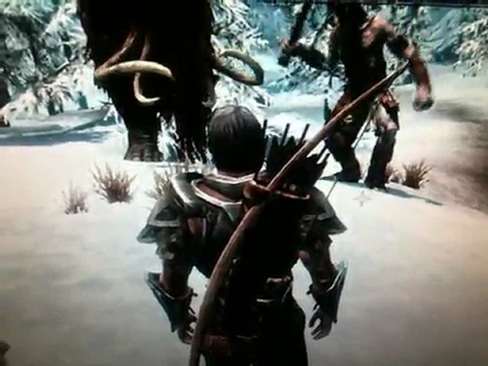 Bienvenue dans Skyrim...