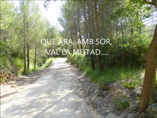 2011, ST. CLIMENT - PANTÀ FOIX - VILANOVA