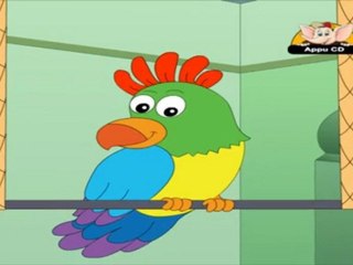 Animal Sounds in Kannada  - Parrot