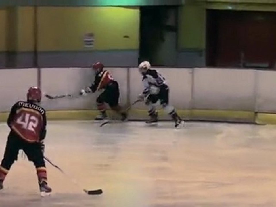 Meudon-Deuil 13 11 2011