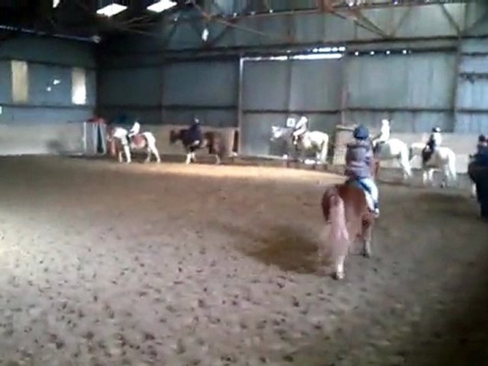 Lola au galop
