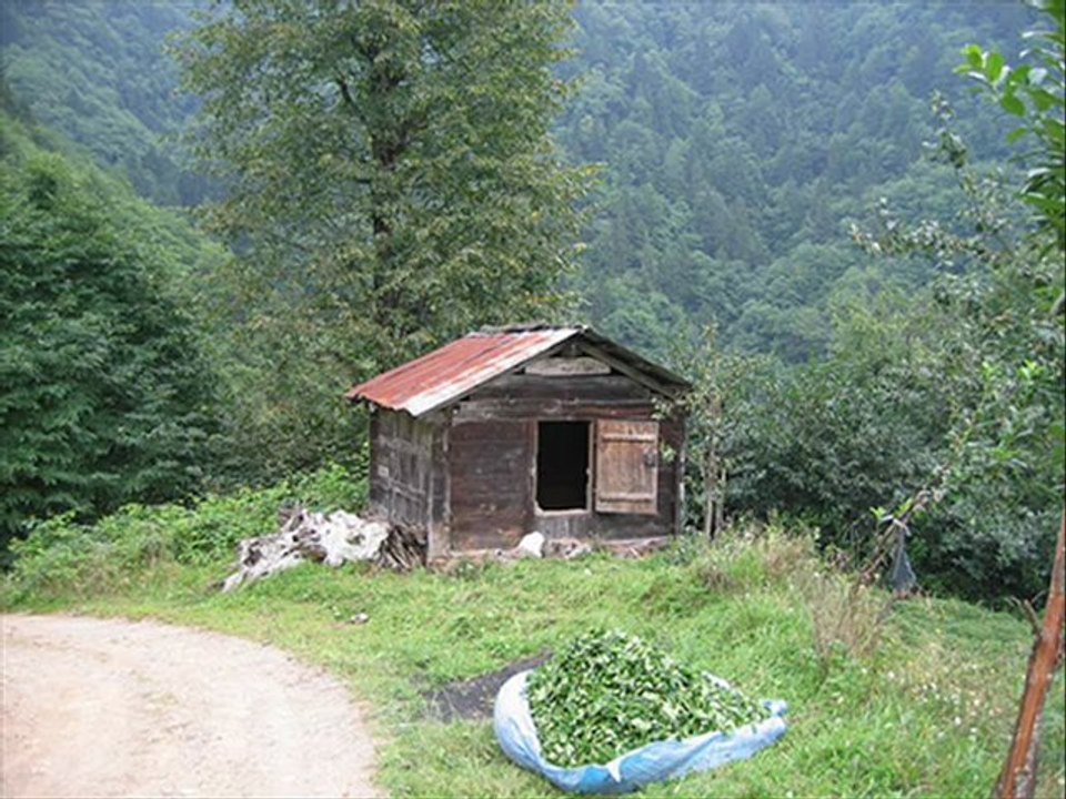 Çamlıhemşin slayt-3-2011