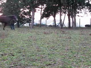 11.11 jeux sur le cercle