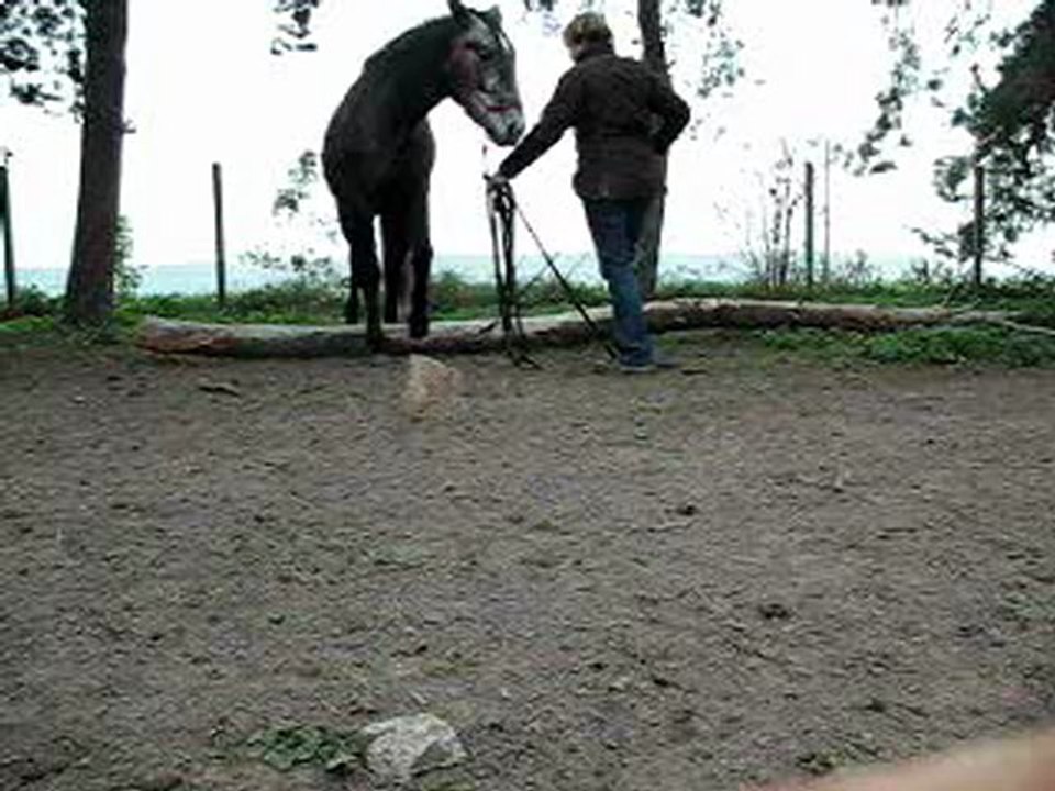 11.11 DL au dessus d'un tronc