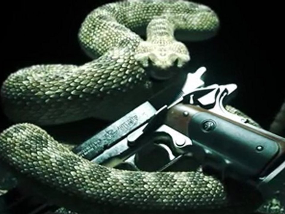 Hitman Absolution Teaser Trailer
