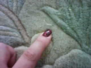 Moth Larva eating Wool Chinese rug