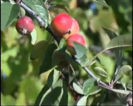 Altarimini: PiùRimini il progetto della ristorazione locale