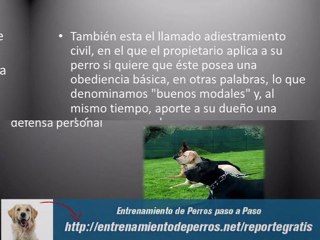 Procesos del Entrenamiento Profesional para Perros