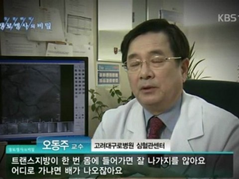 fat causing high blood pressure, brain diseases, adult diseases