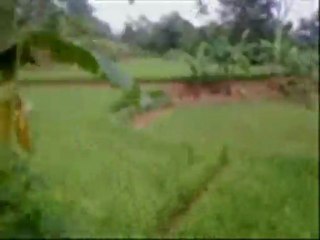 memories shared social 3 went to the area cililin