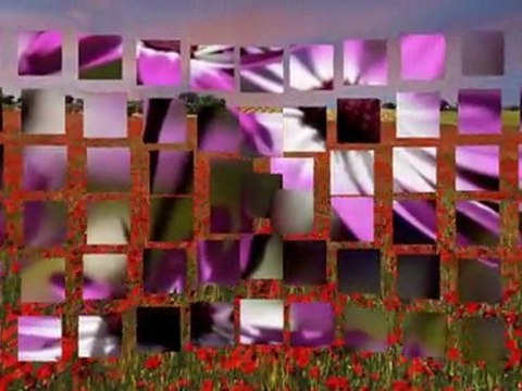 ZÜLFİ LİVANELİ-NEFESİN NEFESİNE