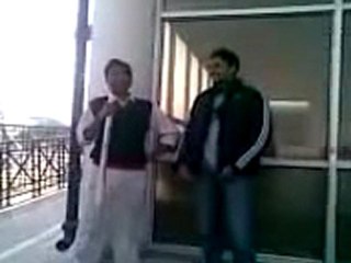 DWS cricket event, match at digital web solutions