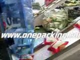 【dried fruit packing machine KT-220Z 】【2011 manufactory recommended】
