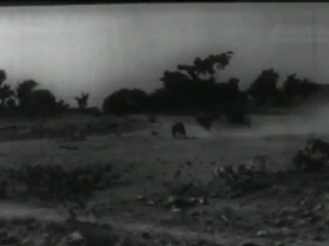 Awara Badal Climax Action