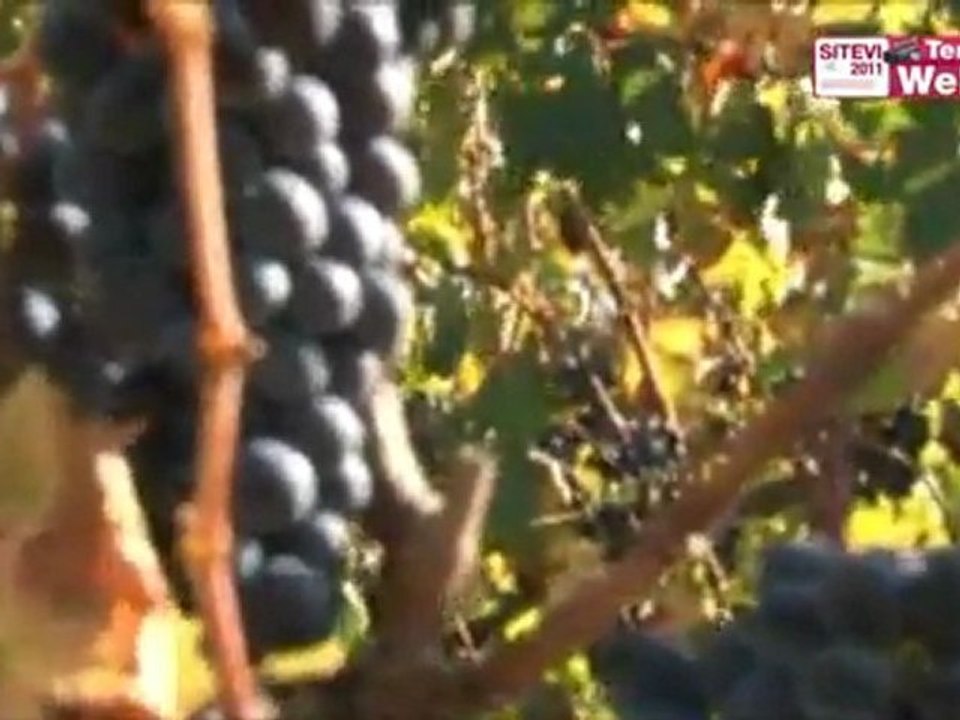 [Sitevi 2011] Médaille d'or au palmarès de l'innovation Avidorhightech - La gestion intégrée de la pulvérisation